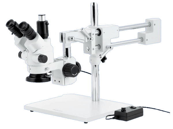 Amscope Optical Microscope
