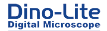 DinoLite Logo